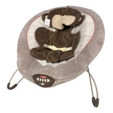 Fisher Price Snuggle Bouncer