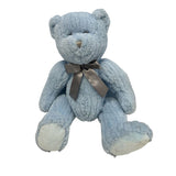 Blue Stuffed Teddy