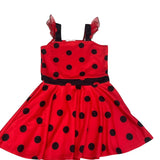 Lady Bug - 8