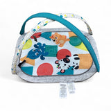 Baby Einsteins Activity Mat