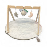 Little Journey Activity Gym