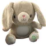 Ingenuity Rabbit