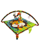 Lion Activity Mat