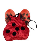 Ladybug - 1/2y