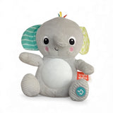 Bright starts Elephant