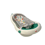 Fisher price Bath