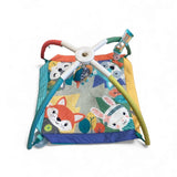 Infantino Activity Mat