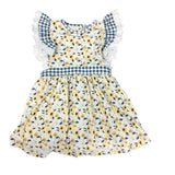 Sweet Southern Smocks - 2t