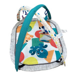 Baby Einstein Activity Mat