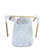 Skip Hop Activity mat