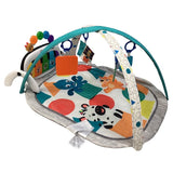 Baby Einstein Piano Mat