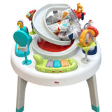 Fisher Price 2 in 1 Activity Center