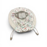 Fisher Price Bouncer