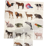 18 Animal Puzzles