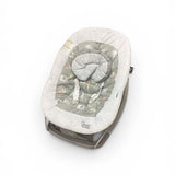 Smart Steps Bouncer
