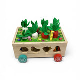 Wooden Farm & Fruits