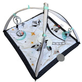 Tiny Love Activity Mat