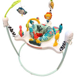 Fisher Price Jumperoo