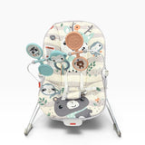 Fisher Price Bouncer