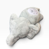 Dream Gro Projector Soother