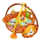 Lion Activity Mat