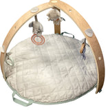 Ingenuity Activity Mat