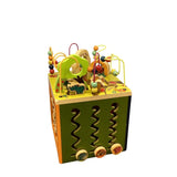 Zanny zoo Activity cube