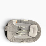 Infant Swing
