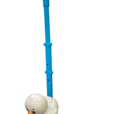 Walking Duck